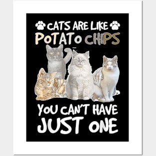 Cats Are Like Potato Chips You Can Not Have Just One Funny Posters and Art